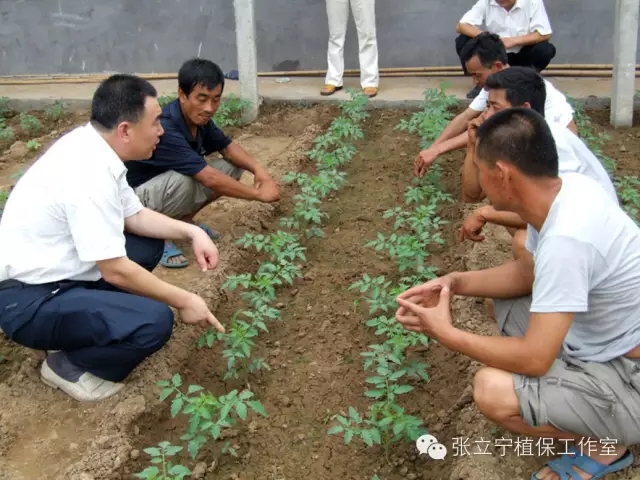 微生物菌剂的使用方法是什么？注意事项有哪些