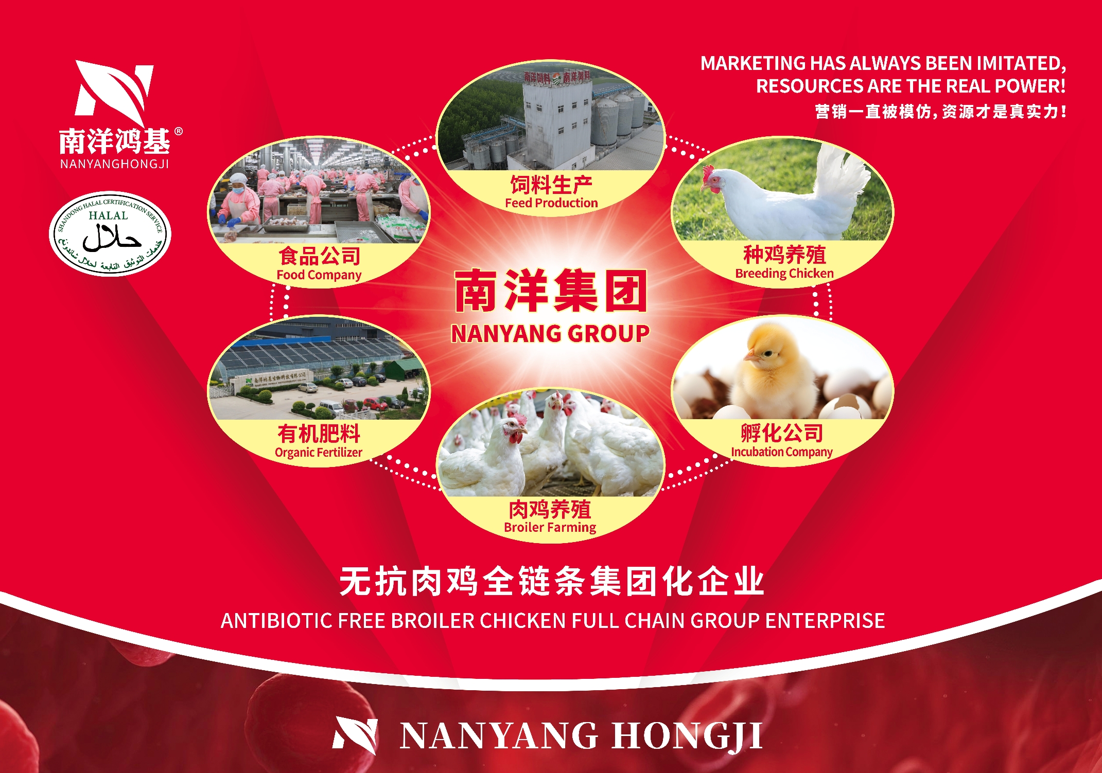 0f27af64180a071b144a16460cc41ca_副本.jpg